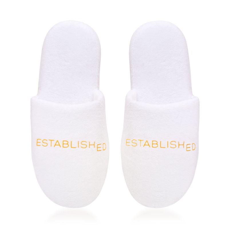 ESTABLISHED SLIDES