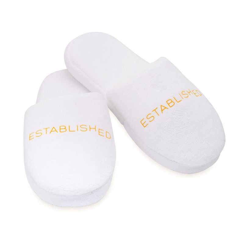 ESTABLISHED SLIDES