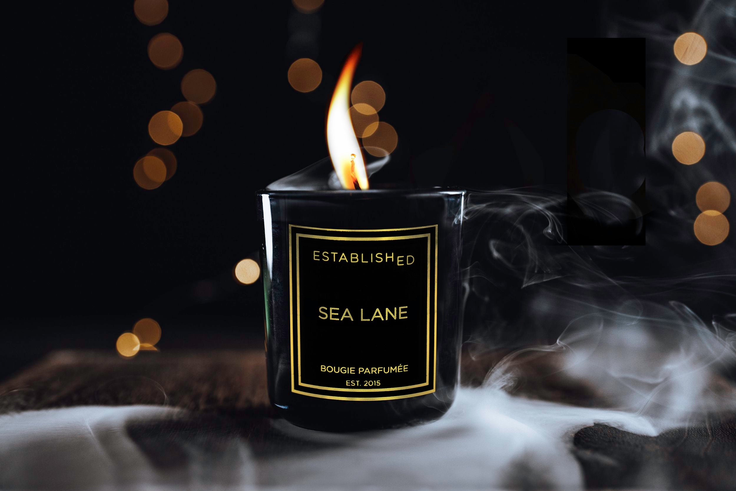 Sea_Lane_Flame_Lights.jpg